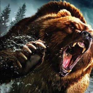 Meet your Posher, Tim